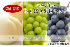 [№5615-0635]桃 ぶどう 【2025年 先行予約】 よくばり 果物 セット 岡山 白桃 2玉 合計600g以上 シャインマスカット 2房 合計1.2kg以上 ニュー ピオーネ 2房 合計1kg以上 岡山県産 国産 フルーツ 果物 ギフト