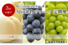 [№5615-0636]フルーツ 定期便 【2025年 先行予約】 晴れの国 旬の 果物 3回お届け便 岡山 白桃 2kg(5玉～7玉) ニュー ピオーネ 4房2kg以上  シャインマスカット 4房(2.4kg以上) 岡山県産 国産 セット ギフト