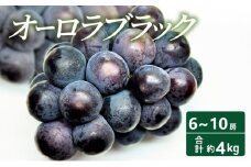 [№5615-0641]【2025年 先行予約】 オーロラブラック 6～10房 合計約4kg 常温配送 ぶどう 葡萄 フルーツ 果物 岡山 高梁市