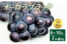 [№5615-0642]【2025年 先行予約】 オーロラブラック 6～10房 合計約4kg 冷蔵配送 ぶどう 葡萄 フルーツ 果物 岡山 高梁市