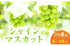 [№5615-0645]【2025年 先行予約】 シャインマスカット 6～10房 合計約4kg 常温配送 ぶどう 葡萄 フルーツ 果物 岡山 高梁市