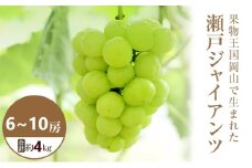 [№5615-0647]【2025年 先行予約】 瀬戸ジャイアンツ 6～10房 合計約4kg 常温配送 ぶどう 葡萄 フルーツ 果物 岡山 高梁市