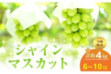 [№5615-0646]【2025年 先行予約】 シャインマスカット 6～10房 合計約4kg 冷蔵配送 ぶどう 葡萄 フルーツ 果物 岡山 高梁市