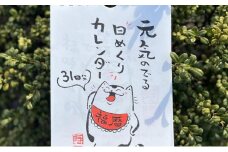 [№5615-0649]元気のでる日めくりカレンダー 日めくり カレンダー 壁掛け 猫 イラスト イラストレーター 田渕雄三 岡山 高梁市