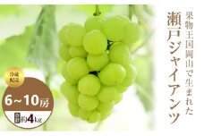 [№5615-0648]【2025年 先行予約】 瀬戸ジャイアンツ 6～10房 合計約4kg 冷蔵配送 ぶどう 葡萄 フルーツ 果物 岡山 高梁市