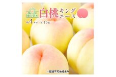 [№5615-0663]桃 2025年 先行予約 岡山 白桃 キング・エース 約4kg 8～15玉入り もも モモ 岡山県産 国産 フルーツ 果物 ギフト 橋田商店