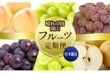 [№5615-0665]フルーツ 晴れの国 岡山 の フルーツ 定期便 10回コース 岡山県産 桃 もも 葡萄 ぶどう 梨 なし 2025年 先行予約