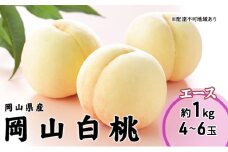 [№5615-0667]桃 2025 年先行予約 岡山 白桃 エース 4～6玉 1kg 岡山県産 JAおかやまのもも モモ 岡山県産 国産 フルーツ 果物 ギフト
