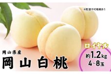 [№5615-0668]桃 2025年 先行予約 岡山 白桃 ロイヤル 4～8玉 1.2kg 岡山県産 JAおかやまのもも モモ 岡山県産 国産 フルーツ 果物 ギフト