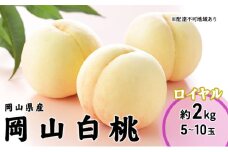 [№5615-0670]桃 2025年 先行予約 岡山 白桃 ロイヤル 5～10玉 2kg 岡山県産 JAおかやまのもも  モモ 岡山県産 国産 フルーツ 果物 ギフト