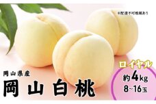 [№5615-0672]桃 2025年 先行予約 岡山 白桃 ロイヤル 8～16玉 4.0kg 岡山県産 JAおかやまのもも  モモ 岡山県産 国産 フルーツ 果物 ギフト