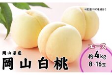 [№5615-0673]桃 2025年 先行予約 岡山 白桃 エース 8～16玉 4.0kg 岡山県産 JAおかやまのもも モモ 岡山県産 国産 フルーツ 果物 ギフト