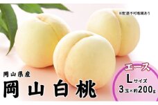[№5615-0675]桃 2025年 先行予約 岡山 白桃 エース 3玉×200g（Lサイズ） 岡山県産 JAおかやまのもも  モモ 岡山県産 国産 フルーツ 果物 ギフト