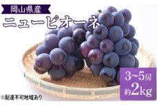 [№5615-0677]早期受付 ぶどう 晴れの国 ピオーネ 2kg（3～5房）化粧箱入り 岡山県 高梁市 ブドウ 葡萄 果物 フルーツ