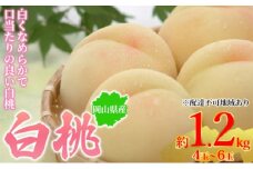 [№5615-0684]桃 2025年先行予約 岡山県産 白桃 約1.2kg 4～6玉 お届け 7月上旬～7月下旬