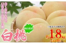 [№5615-0686]桃 2025年先行予約 岡山県産 白桃 約1.8kg 7～9玉 お届け 7月上旬～7月下旬