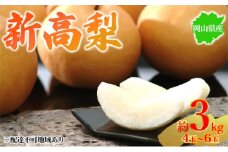 [№5615-0687]梨 2025年先行予約 岡山県産 新高梨 約3kg 4～6玉 お届け 10月中旬～11月中旬