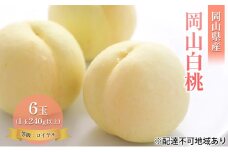 [№5615-0704]桃 2025年 先行予約 岡山 白桃 6玉 約1.4kg 等級：ロイヤル（1玉 240g以上） もも モモ 岡山県産 国産 フルーツ 果物 ギフト
