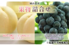 [№5615-0706]ぶどう 2025年 先行予約 果物 詰合せ 岡山 白桃 2玉 等級：ロイヤル（1玉260g以上） ニュー ピオーネ  1房 580g以上 もも 葡萄 岡山県産 国産 フルーツ 果物 ギフト