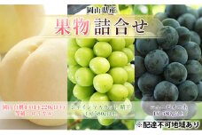 [№5615-0707]フルーツ 2025年 先行予約 果物 詰合せ 岡山 白桃 4玉 等級：ロイヤル（1玉220g以上） シャイン マスカット 晴王 1房 580g以上 ニューピオーネ 1房 580g以上  岡山県産 ギフト