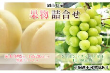 [№5615-0708]ぶどう 2025年 先行予約 果物 詰合せ 岡山 白桃 2玉 等級：ロイヤル（1玉220g以上） シャイン マスカット 晴王 1房 380g以上 もも 葡萄 岡山県産 国産 フルーツ 果物 ギフト