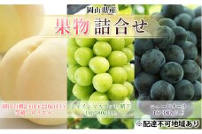 [№5615-0710]ぶどう 2025年 先行予約 果物 詰合せ 岡山 白桃 2玉 等級：ロイヤル（1玉220g以上） シャインマスカット 晴王 1房 380g以上 ニューピオーネ 1房 380g以上 もも 葡萄 岡山県産 国産 フルーツ 果物 ギフト