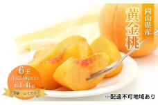 [№5615-0711]桃 2025年 先行予約 岡山 黄金桃 6玉 約1.4kg 等級：ロイヤル（1玉 240g以上） もも モモ 岡山県産 国産 フルーツ 果物 ギフト