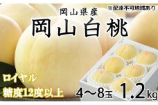 [№5615-0713]桃 2025年 先行予約 岡山 白桃 ロイヤル 4～8玉 約1.2kg JAおかやまのもも（早生種・中生種） もも モモ 岡山県産 国産 フルーツ 果物 ギフト