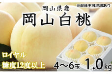 [№5615-0715]桃 2026年 先行予約 岡山 白桃 ロイヤル 4～6玉 約1kg JAおかやまのもも（早生種・中生種） もも モモ 岡山県産 国産 フルーツ 果物 ギフト