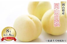 [№5615-0691]桃 2025年 先行予約 岡山 白桃 8玉 約1.8kg 等級：ロイヤル（1玉 220g以上） もも モモ 岡山県産 国産 フルーツ 果物 ギフト デザート 岡山の桃