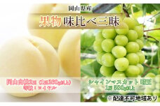 [№5615-0693]桃 ぶどう 2025年 先行予約 果物 味比べ三昧  岡山 白桃 2玉 等級：ロイヤル（1玉260g以上） シャイン マスカット 晴王 1房 580g以上 詰合せ 岡山の桃 岡山の葡萄 食べ比べ