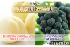 [№5615-0694]桃 ぶどう 2025年 先行予約 果物 味比べ三昧  岡山 白桃 2玉 等級：ロイヤル（1玉260g以上）ニュー ピオーネ 1房 580g以上 詰合せ もも 葡萄 岡山県産 国産 フルーツ 果物 ギフト 食べ比べ