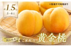 [№5615-0728]桃 2025年 先行予約 ご家庭用 岡山の 黄金桃 5～6玉 合計約1.5kg もも モモ 岡山県産 国産 フルーツ 果物 ギフト
