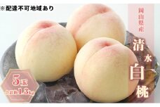 [№5615-0732]桃 2025年 先行予約 清水白桃 5玉 合計約1.3kg もも モモ 岡山県産 国産 フルーツ 果物 ギフト