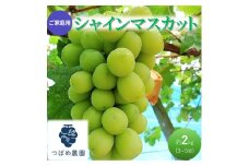 [№5615-0735]早期受付 ぶどう ご家庭用 シャインマスカット 約2kg(3～5房)  岡山県 高梁市産