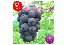 [№5615-0736]早期受付 ぶどう ニューピオーネ 3～4房 約2kg 岡山県高梁市産 うめづぶどう園 化粧箱入り 葡萄 ブドウ 訳あり