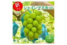[№5615-0737]早期受付 ぶどう シャインマスカット 3～4房 約2kg 岡山県高梁市産 うめづぶどう園 化粧箱入り 葡萄 ブドウ 訳あり