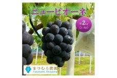 [№5615-0738]早期受付 ぶどう ピオーネ 約2kg（3～4房）岡山県高梁市産 まつむら農園 個装箱入り 葡萄 ブドウ 贈り物
