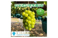 [№5615-0739]早期受付 ぶどう シャインマスカット 約２kg（3～4房）大粒  岡山県高梁市産 個装箱入り 葡萄 ブドウ 贈り物