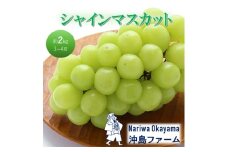 [№5615-0746]早期受付 ぶどう シャインマスカット 約2kg（3～4房）岡山県高梁市産 沖島ファーム 化粧箱入り 葡萄 ブドウ 贈答用