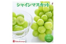 [№5615-0747]【高島屋選定品】シャインマスカット 約480g×1房 岡山県高梁市産 個装箱入り 葡萄 ブドウ 贈り物