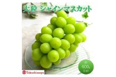 [№5615-0748]【高島屋選定品】大房 シャインマスカット 約600g×1房 岡山県高梁市産 個装箱入り 葡萄 ブドウ 贈り物