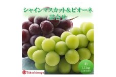 [№5615-0750]【高島屋選定品】シャインマスカット＆ピオーネ詰合せ 約1.1kg（2房合計） 岡山県高梁市産 個装箱入り 葡萄 ブドウ 贈り物