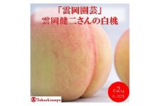 [№5615-0751]【高島屋選定品】「雲岡園芸」雲岡健二さんの白桃 6～10玉（約2kg） もも モモ 岡山県産 国産 フルーツ 果物 ギフト