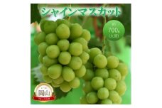 [№5615-0752]高梁市産 シャインマスカット 大房 (約700g) ぶどう ブドウ 葡萄 果物 フルーツ