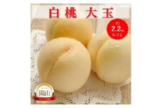 [№5615-0754]岡山県産 白桃 大玉 (約2.2kg) 5～7玉 桃 もも 果物 フルーツ