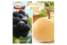 [№5615-0756]岡山県産 岡山の梨(約300g×2玉)・ピオーネ(約500g×1房) 詰合せ 梨 ピオーネ ぶどう ブドウ 葡萄 果物 フルーツ