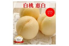 [№5615-0758]岡山県産 白桃 恵白 (約2.2kg) 5～7玉 桃 もも 果物 フルーツ