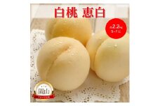 [№5615-0758]岡山県産 白桃 恵白 (約2.2kg) 5～7玉 桃 もも 果物 フルーツ