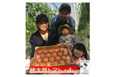 [№5615-0786]桃太郎トマト 約4kg 野菜 トマト とまと 岡山県 高梁市産  産地直送